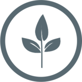Icon Zweig mit Blättern als Symbol für den Kurs Nachhaltigkeits- und Klimaschutzmanager im Handwerk.